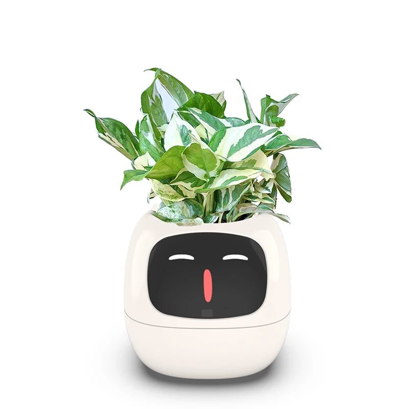 Smart Small Flower Pot -  shop_nameHashaya