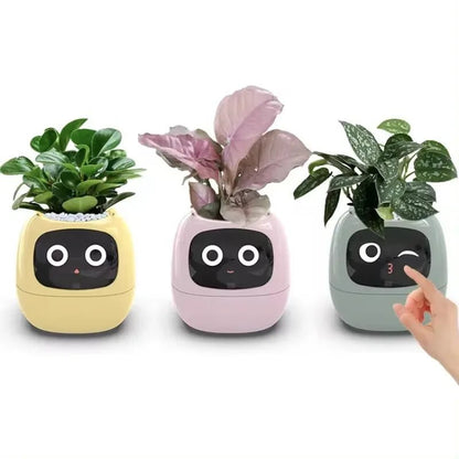 Smart Small Flower Pot -  shop_nameHashaya