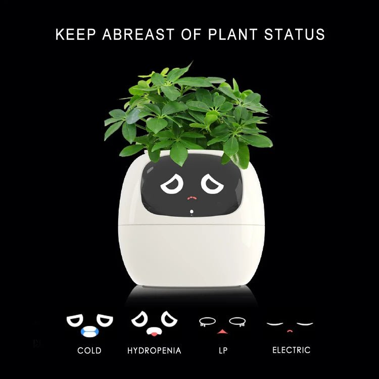 Smart Small Flower Pot -  shop_nameHashaya