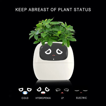 Smart Small Flower Pot -  shop_nameHashaya