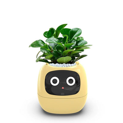 Smart Small Flower Pot -  shop_nameHashaya