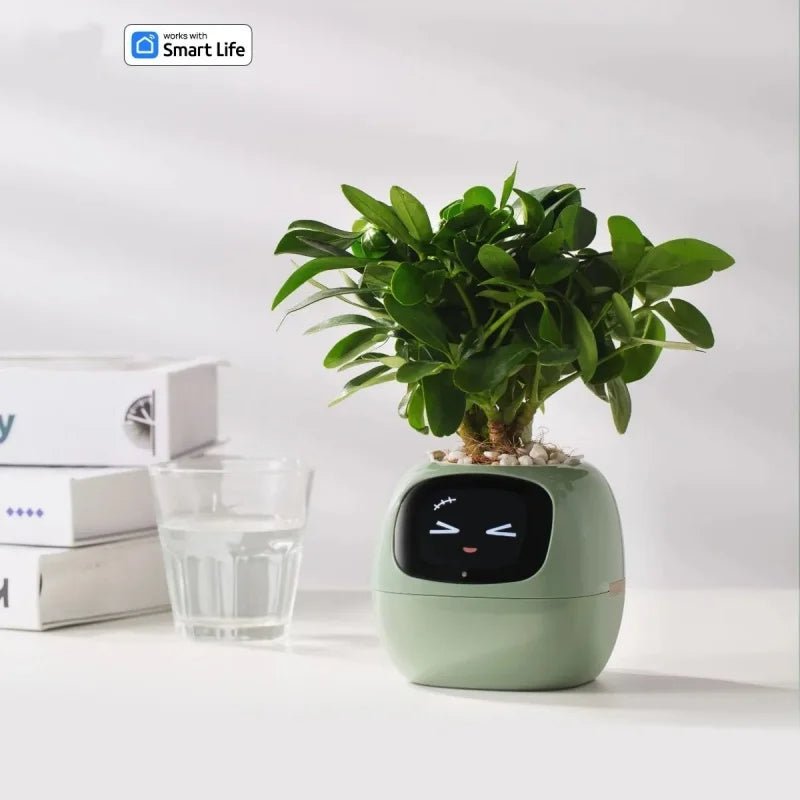 Smart Small Flower Pot -  shop_nameHashaya