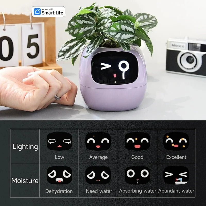 Smart Small Flower Pot -  shop_nameHashaya