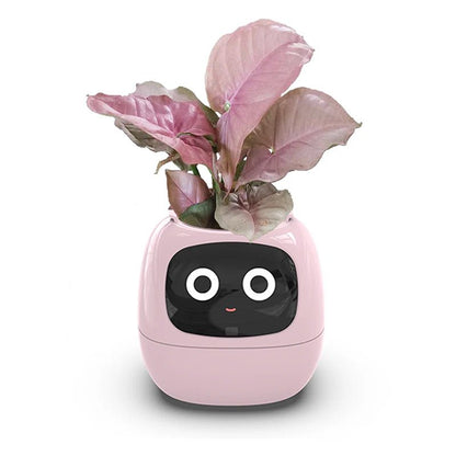 Smart Small Flower Pot -  shop_nameHashaya