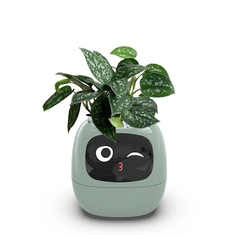 Smart Small Flower Pot -  shop_nameHashaya