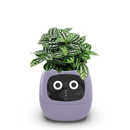 Smart Small Flower Pot -  shop_nameHashaya